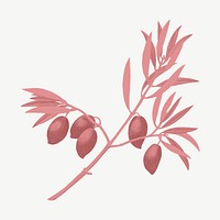 Red olive branch clipart psd