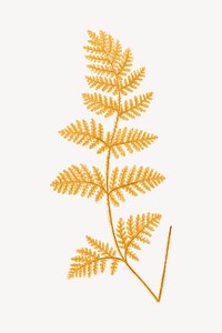 Vintage yellow fern leaf illustration