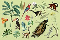 Vintage wild animals vintage collage elements set psd