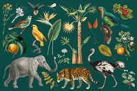 Vintage wild animals vintage collage elements set psd