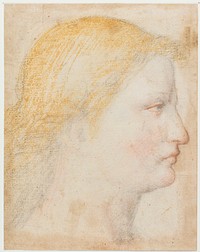 Female profile by Bernardino Luini