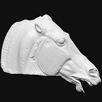 Head of horse, from Selene's quadrilateral