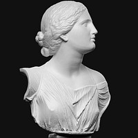 Bust from The Daughters of Niobe by unknown