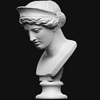 Head from the statue of Hera Barberini