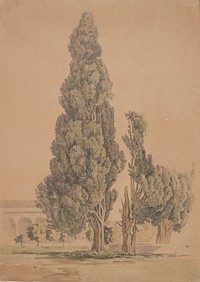 Cypresses by Thorald Brendstrup