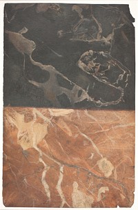 Draft for two different types of marbling, one black and one ochre by Lambert Van Haven