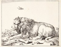 Reclining lion by Marcus de Bye