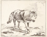 Wolf standing, facing three-quarters right by Marcus de Bye