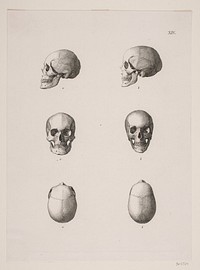 "The royal graves in Ringsted Church". Plate XIV by Heinrich Hansen