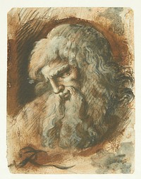 Bearded male head in profile to left by Giuseppe Ribera