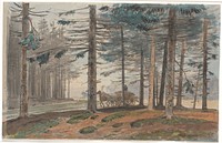 Spruce forest with a road on which a horse-drawn carriage drives with a load of firewood.In the background a clearing in the forest by Johan Thomas Lundbye