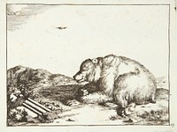 Recumbent bear, facing left by Marcus de Bye