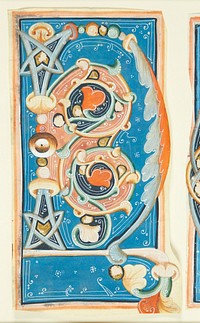 Ornamented initial C   by unknown
