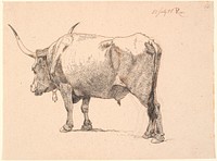 Roman bull with a bell around its neck, seen obliquely from behind by Johan Thomas Lundbye