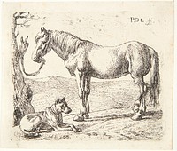 A horse and a dog by Pieter Van Laer