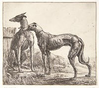 Two greyhounds and a sleeping dog by Simon De Vlieger