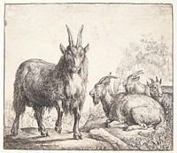 Four goats by Simon De Vlieger