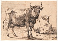 Standing and lying cow by Paulus Potter