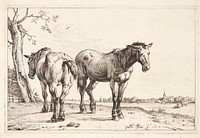 Two plow horses by Paulus Potter