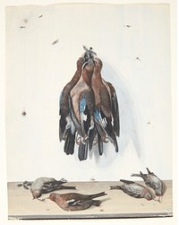 Still life with birds by Anton Ignaz Hamilton
