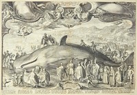 Beached whale near Beverwijk attended by Prince Ernst of Nassau, Jan Saenredam