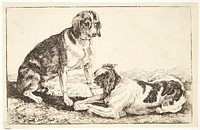 Two lying dogs by Jan Van Den Hecke I