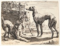 Three dogs by Paulus Van Hillegaert II