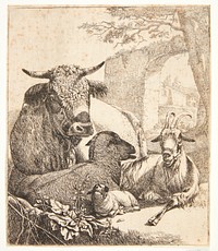 Goat, sheep and lamb, t.v. by Johann Heinrich Roos