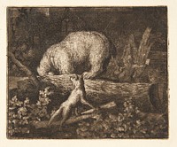 The bear is caught in a trap by Allaert Van Everdingen