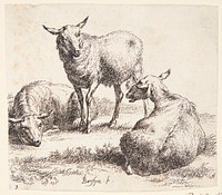 Two lying and one standing sheep by Nicolaes Berchem