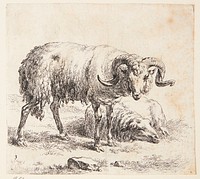 Standing ram and a lying sheep by Nicolaes Berchem