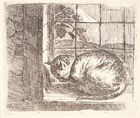 Lying cat in a window by Jan Van Ossenbeeck