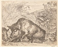 Two wild boars, Abraham Hondius