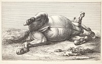 Fallen horse by Jan Van Huchtenburg