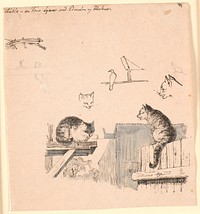 The two cats.F.o.studies of cat heads, a bird, a cat's ear and beam work.Illustration for Kaalund's "Fables for Children".See comment from sheet catalogue. by Johan Thomas Lundbye