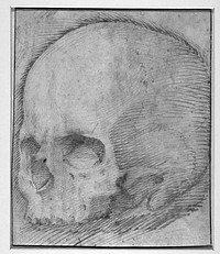 Skull by Baccio Bandinelli