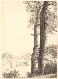 Landscape by Skarritsø with two tall trees, beeches, in the foreground. by P. C. Skovgaard