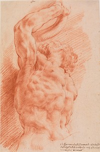 Laocoon. by Willem Panneels