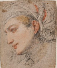 Head of a young woman with a headcloth, in profile to the left by Pier Francesco Mola