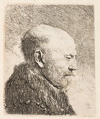 Bald man in profile (Rembrandt's father?) by Rembrandt van Rijn