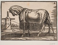 Horse, covered with scapular, profile to left by Melchior Lorck