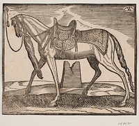 Elegant saddled horse, tethered by v. framing line, profile to v.;under the horse's belly you can see a ruined one by Melchior Lorck