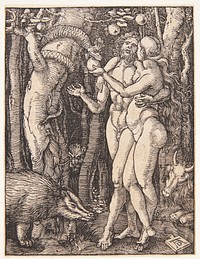 The Fall of Man by Albrecht Dürer