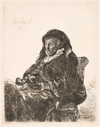 Rembrandt's mother by Rembrandt van Rijn