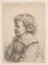 Profile portrait of a boy by Rembrandt van Rijn