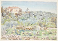 Mountainside with olive trees and a villa by Peter Hansen