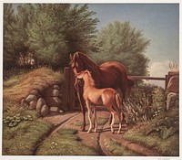 A mare with her foal by Johann Adolf Kittendorf