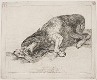 A wild monster (81) by Francisco Goya