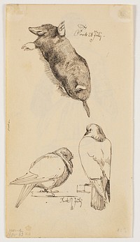 Study of a mole and two birds by Johan Thomas Lundbye