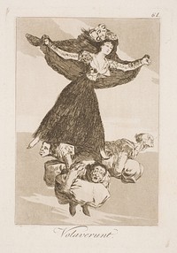 They have flown away by Francisco Goya